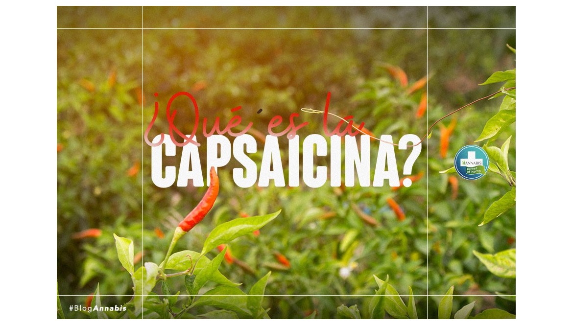 ¿Qué es la capsaicina?